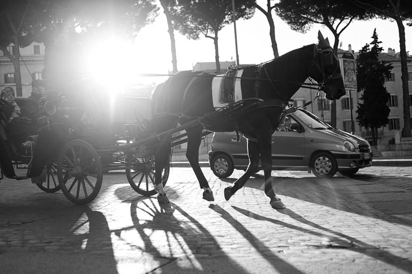 horse and carriage in rome, italy