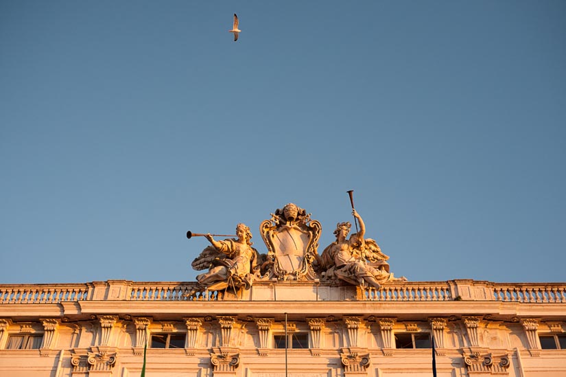 some old building and seagull in rome, italy