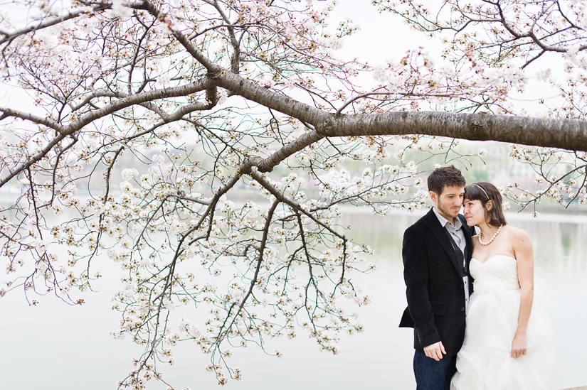 cherry blossom wedding pictures