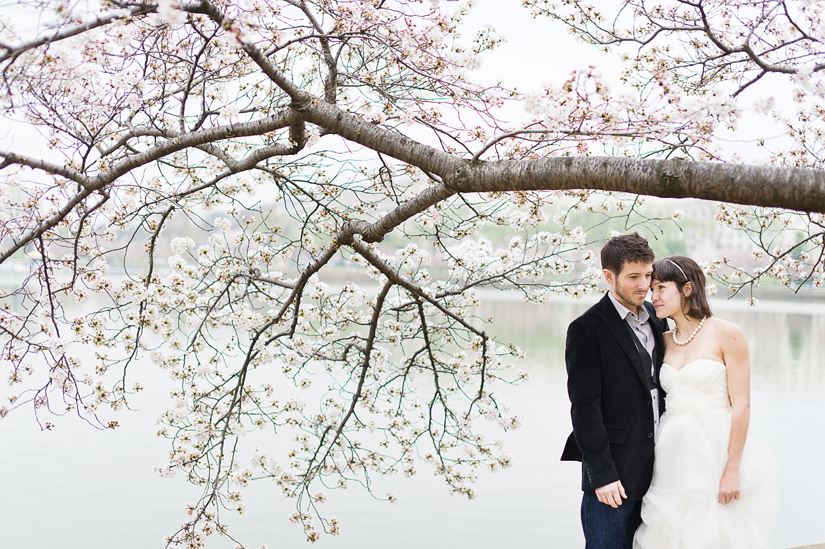 emilie-zack-wedding_067 cherry blossom wedding pictures