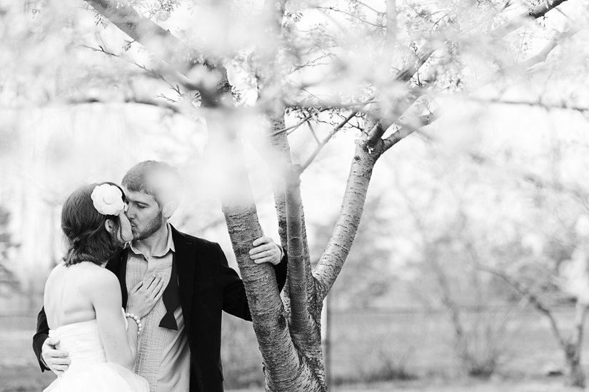 cherry blossom wedding photography