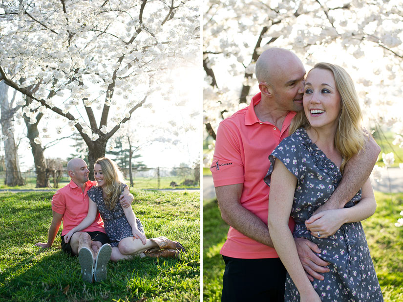 washington dc cherry blossom engagement photos