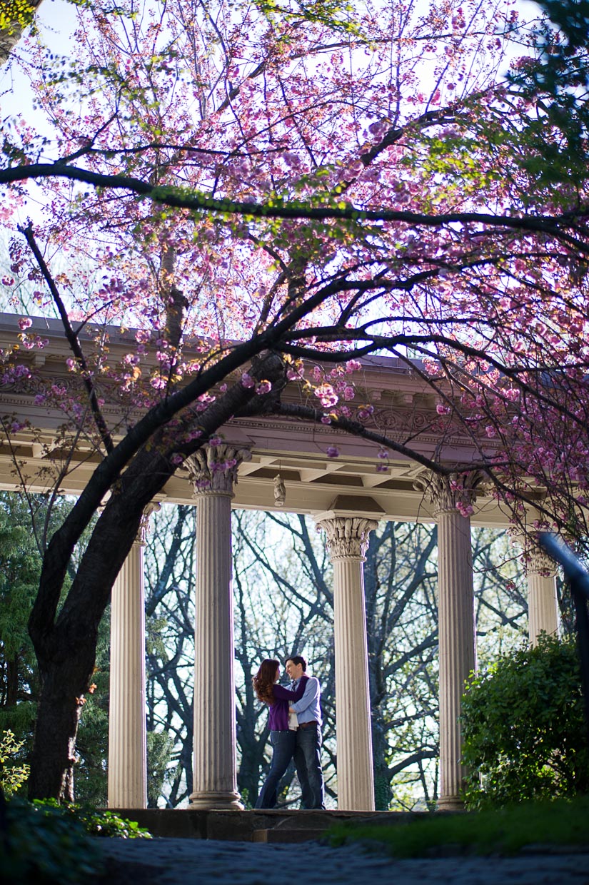 engagement photography in brooklyn's prospect park