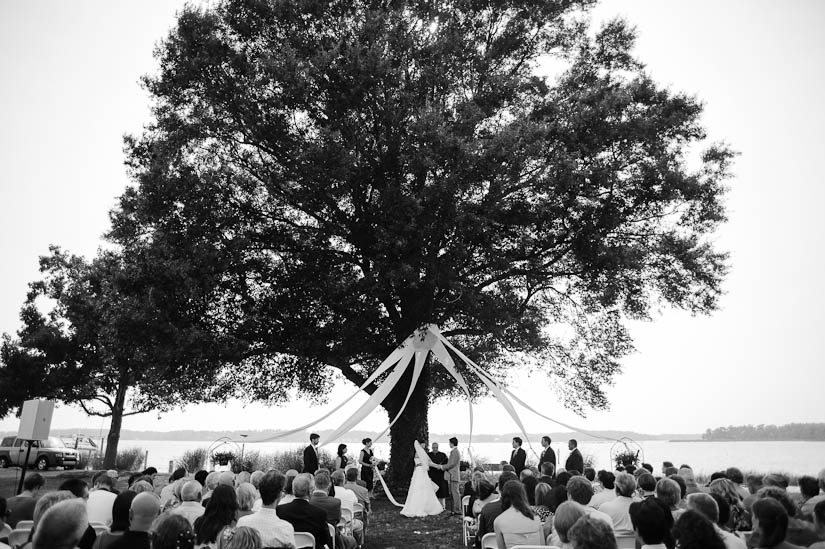 backyard wedding