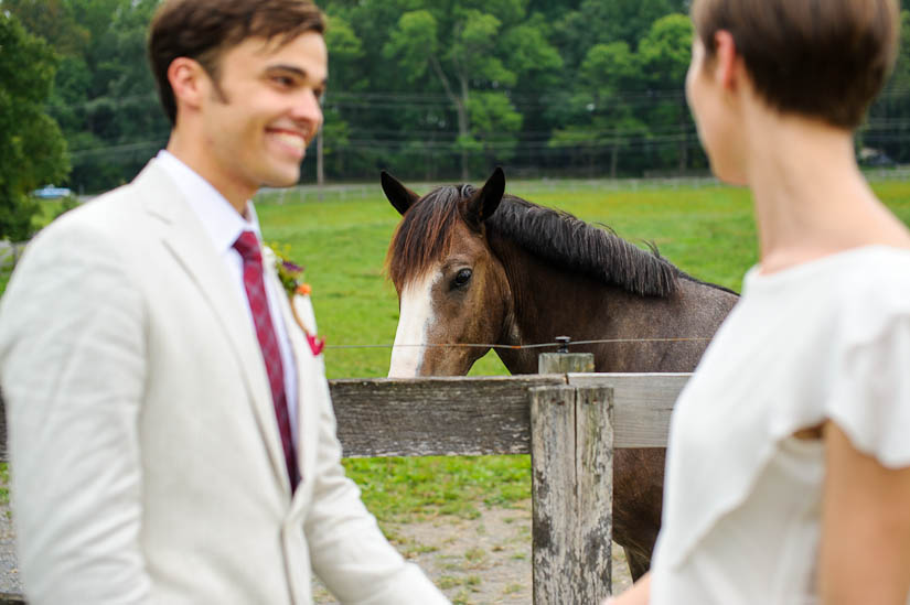 wedding portraits with a horse