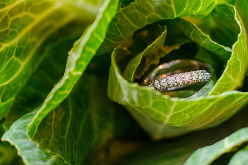 the rings in a cabbage centerpiece