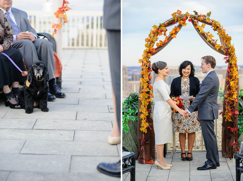 scenes from the wedding ceremony in arlington, va