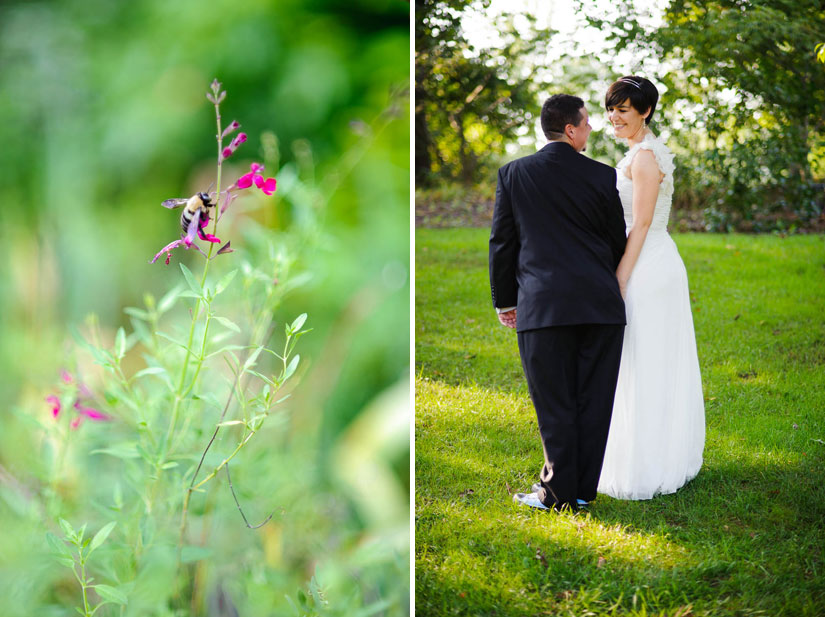 brookside gardens wedding photography