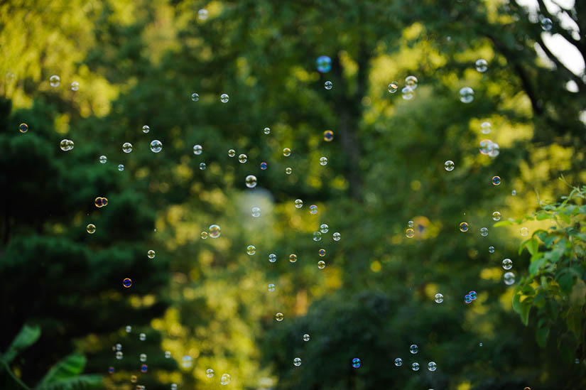 bubbles at brookside gardens wedding