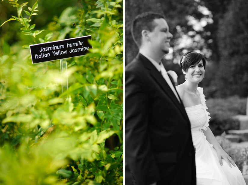 wedding portraits at brookside gardens