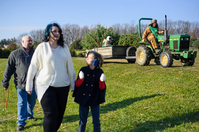 documentary family photography at christmas tree farm