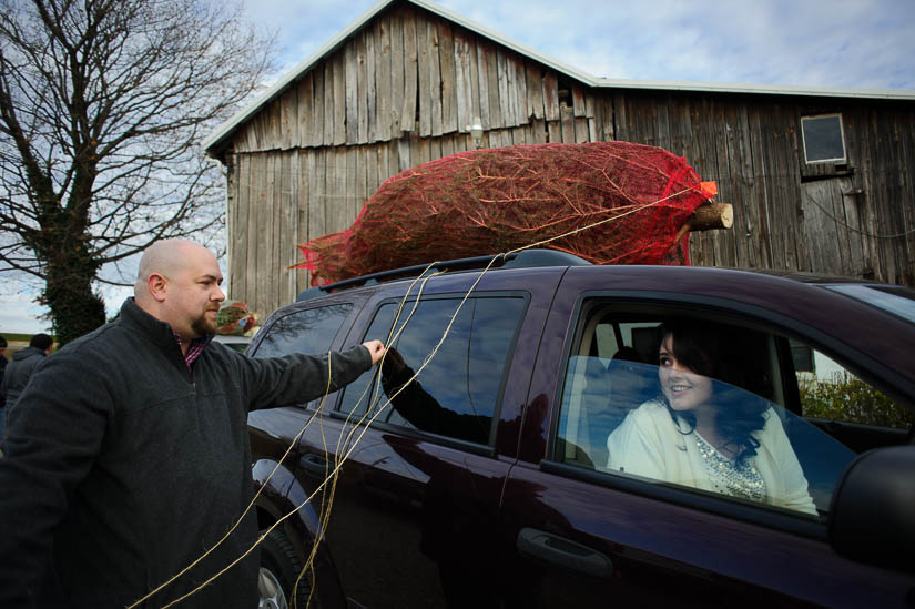 putting the tree on the car