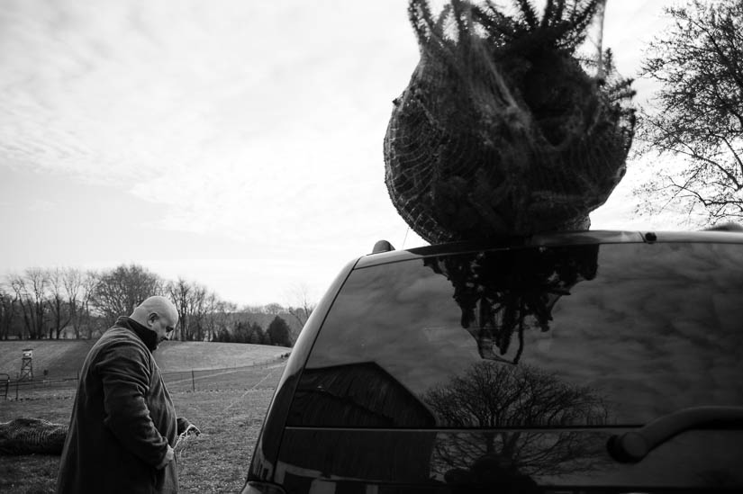 dad putting the tree up during family photo shoot