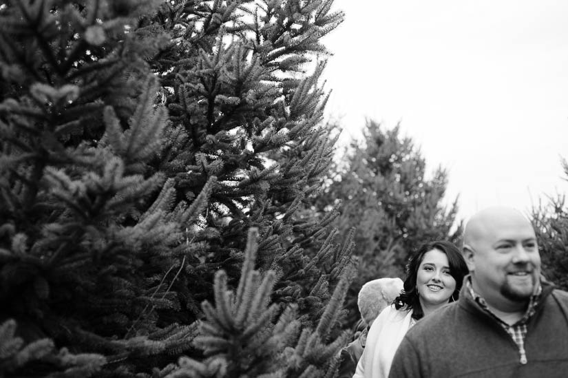 family photo session at christmas tree farm