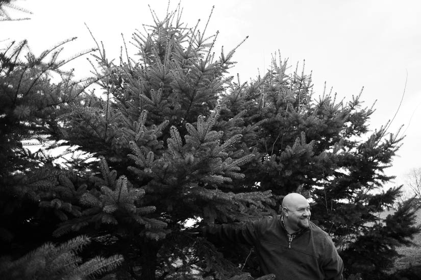 dad cutting down the tree during family session