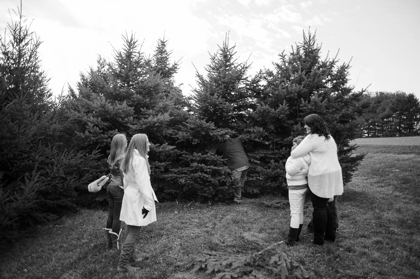 documentary family photography at christmas tree farm