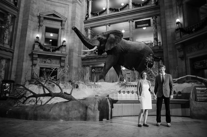 natural history museum engagement photography