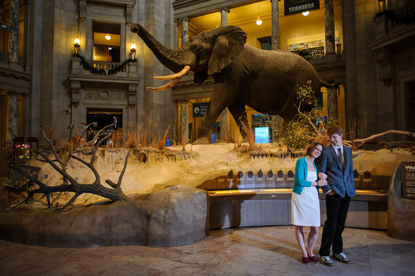 engagement photos in the natural history museum