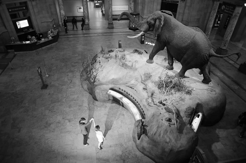 smithsonian museum engagement photos