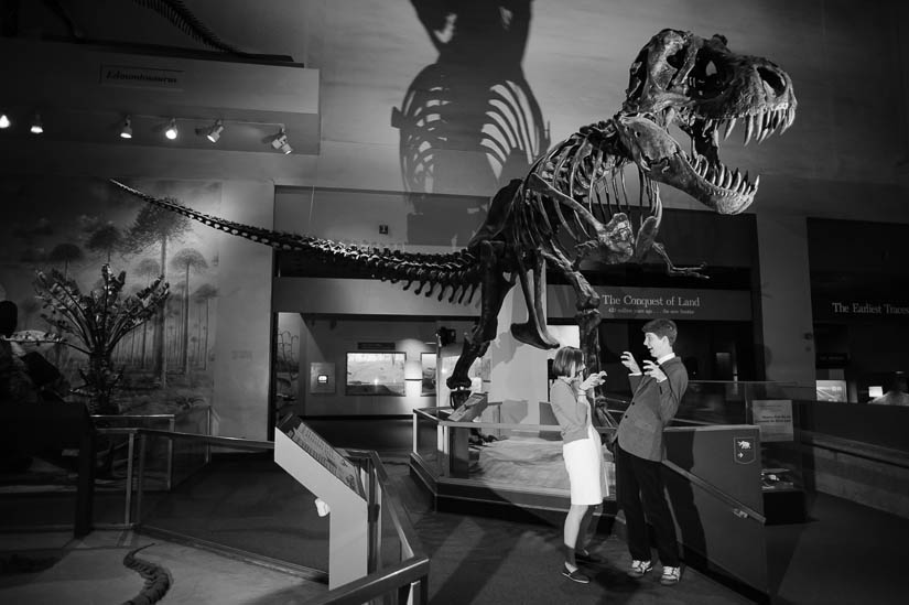 natural history museum engagement photography