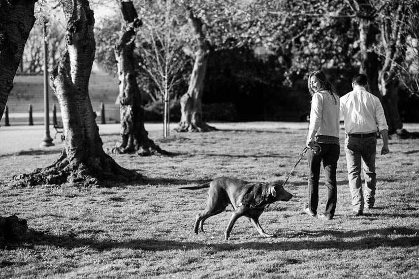 washington dc engagement session with a dog