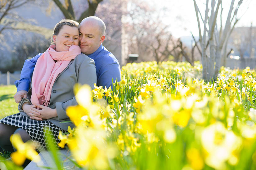 engagement photos with daffodils