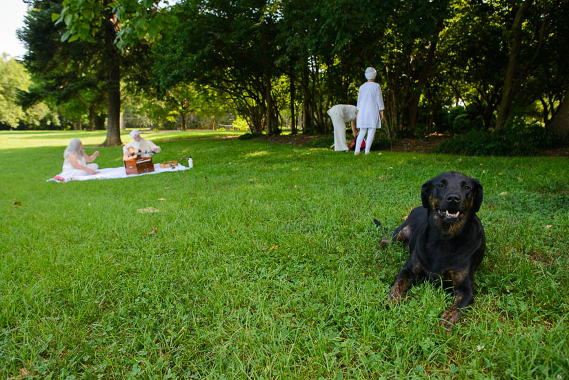 same-sex wedding ceremony in montrose park