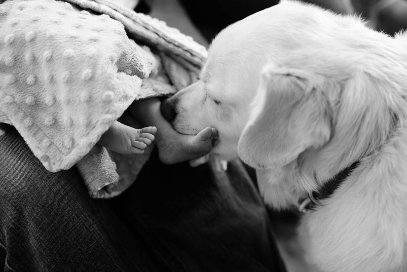 documentary-family-photography-in-maryland-3