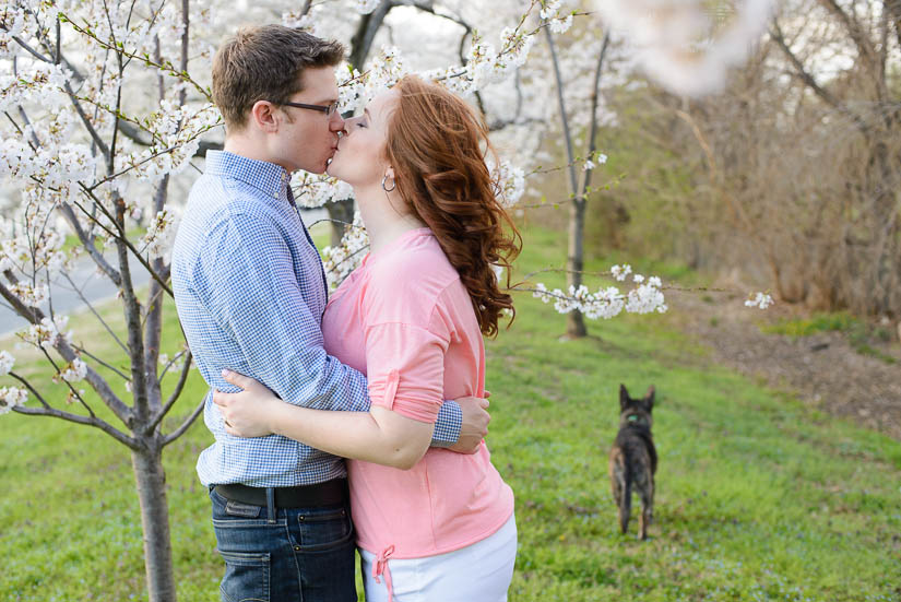 cherry-blossom-engagement-photos-11