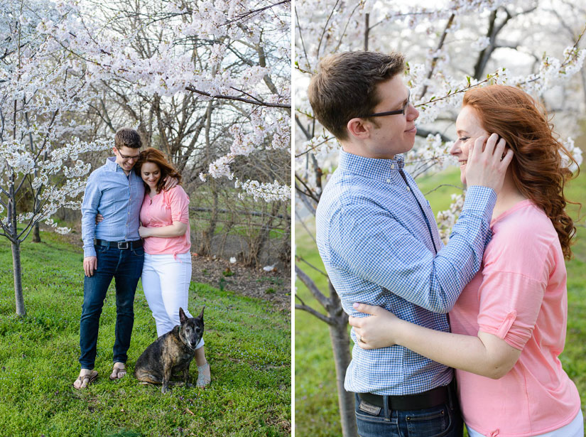cherry-blossom-engagement-photos-12