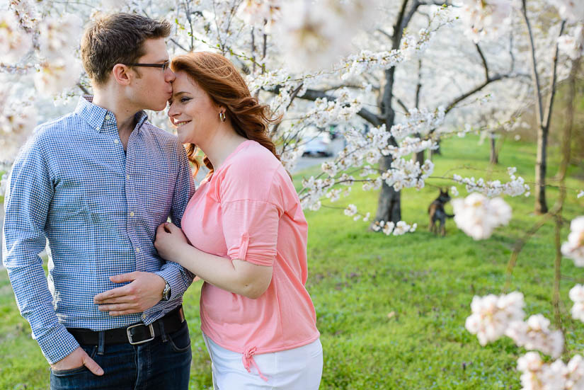 cherry-blossom-engagement-photos-9