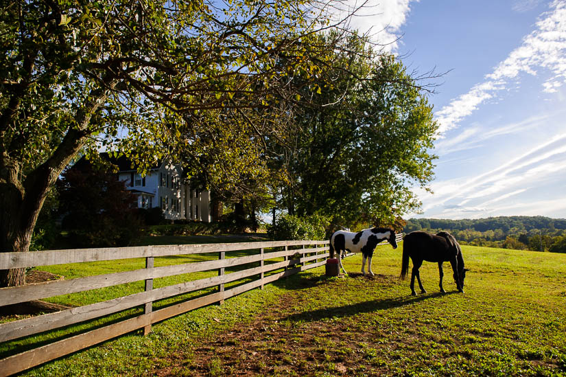 Black-Horse-Inn-wedding-photos-28