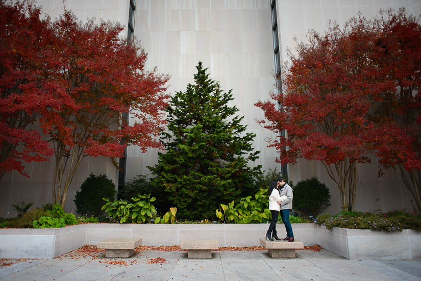 national-mall-engagement-photographers-5