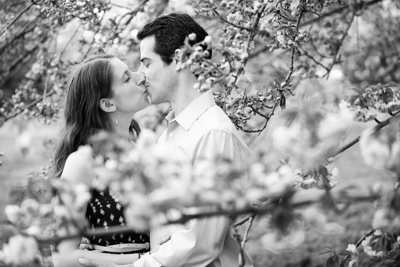 © 2015 Amber Wilkie Photography | www.amberwilkie.com